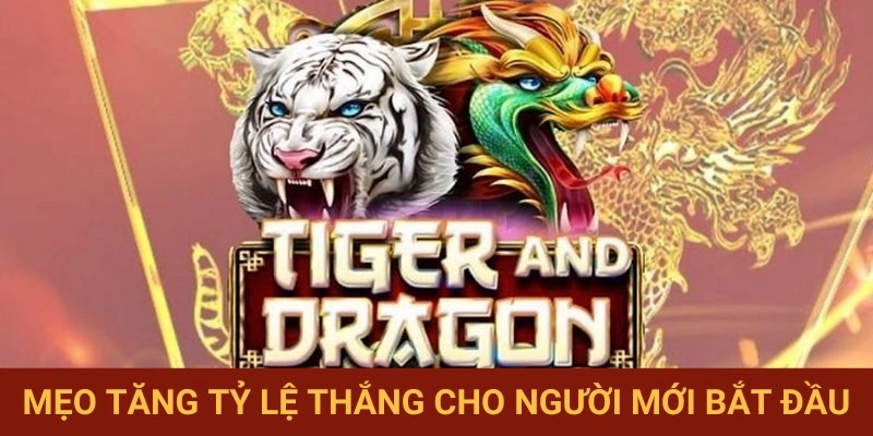 Các phương pháp cải thiện kết quả hiệu quả