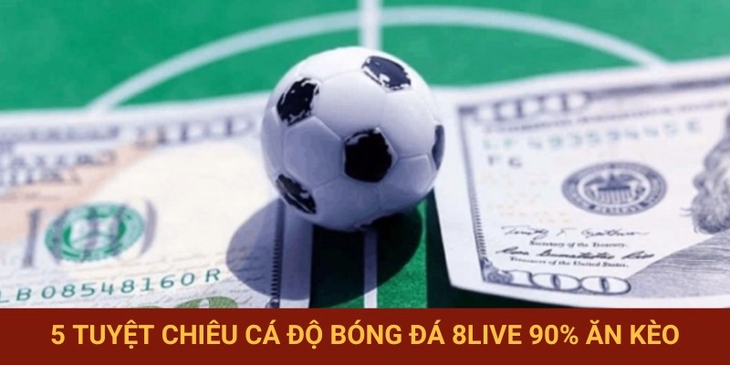5 tuyệt chiêu cá độ 8LIVE siêu chuẩn