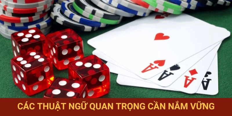 Làm quen thuật ngữ mậu binh thường gặp