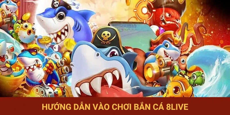 Bắt đầu tham gia săn cá 8LIVE