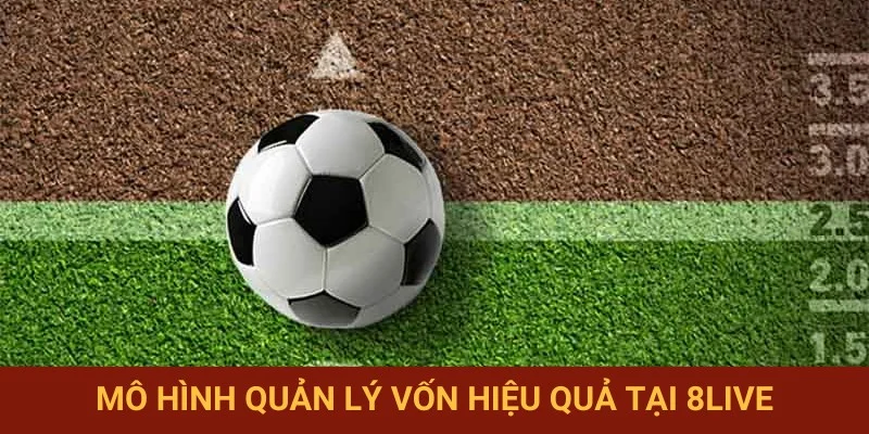 Các mô hình quản lý vốn thông dụng