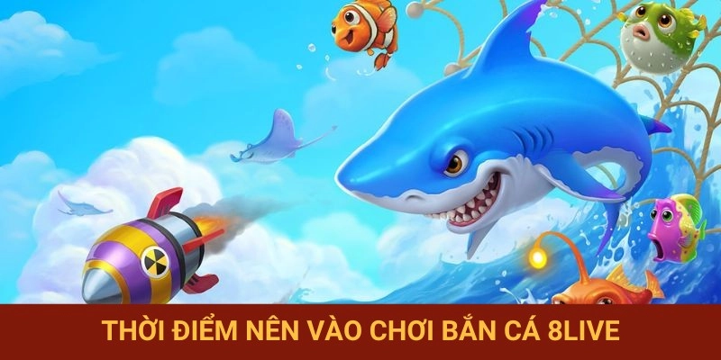 Chọn đúng thời điểm vào chơi săn cá