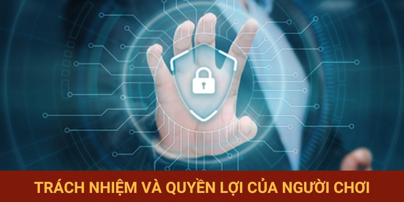 Nghĩa vụ và quyền được hưởng của thành viên
